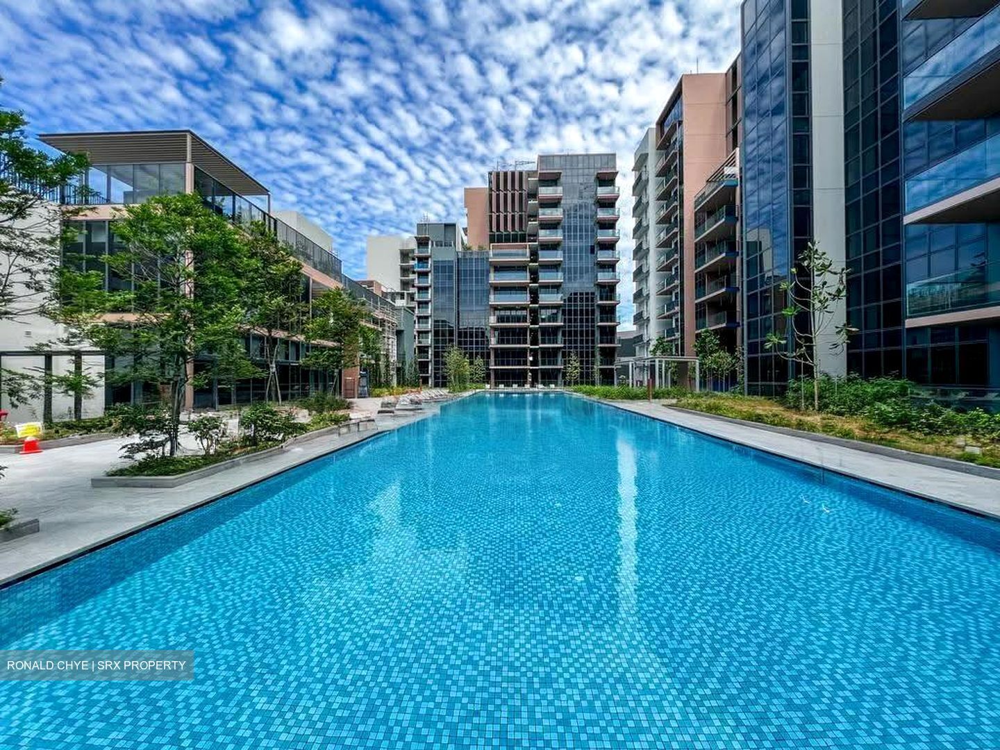 Fourth Avenue Residences (D10), Apartment #610647821